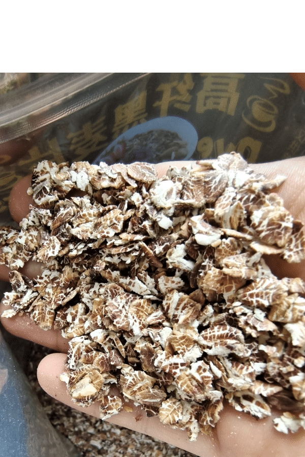 红豆薏米燕麦全麦代餐饼干420g